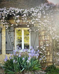 an old house with shutters and flowers in the foreground, next to a window