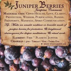 a bunch of plums with a sign on it that says juniper 2 berries in front of them