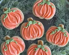 four decorated pumpkin cookies on a glass plate