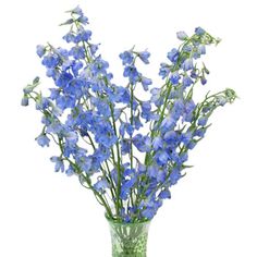 a glass vase filled with blue flowers on top of a table