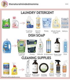 an image of laundry detergents and cleaning supplies labeled in the text below it