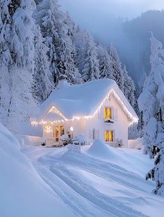 a white house covered in snow with christmas lights on it's windows and trees