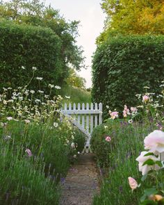 a white bench sitting in the middle of a garden filled with flowers and greenery