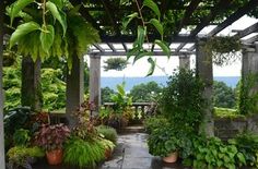 an outdoor patio with lots of plants and trees on it's sides, surrounded by greenery