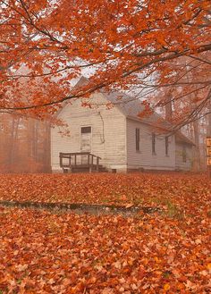 an old white house surrounded by fall leaves