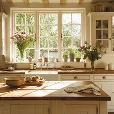 a kitchen filled with lots of counter top space next to a window covered in potted plants