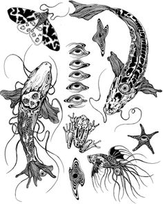 an ink drawing of different types of fish and sea creatures, including octopus, starfish,