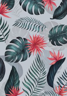 tropical leaves and red flowers on a gray background