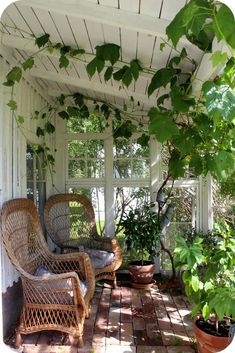 a porch with wicker chairs and potted plants