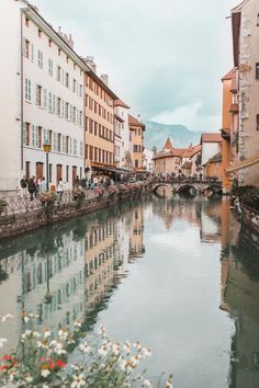 a river running through a small town next to tall buildings with flowers in the foreground