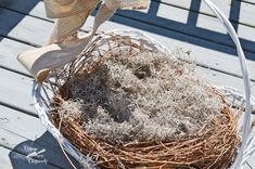 a bird's nest sitting on top of a wooden table