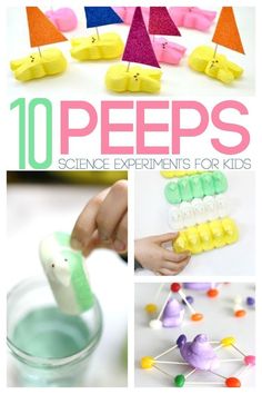 10 peeps science experiments for kids that are fun and easy to do with the kids