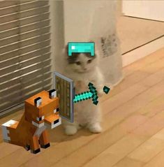 a white cat standing in front of a mirror next to an orange and green dog