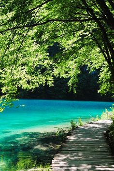 a wooden walkway leading to a blue lake