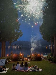 people sitting on the grass watching fireworks in the sky over water and trees at night