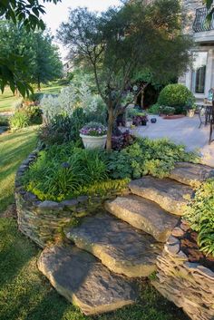 a garden with rocks and plants on the ground near a tree in front of a house