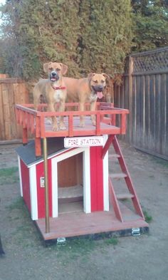 two dogs standing on top of a red and white dog house