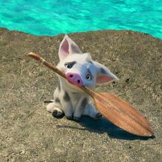 a pig with a paddle on the beach