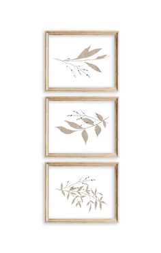 three framed art pieces with leaves on them