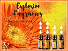 Mélange diffuseur doterra. Diffuser Blend, Diffuser Blends