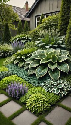 a garden with lots of green and purple flowers