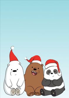 three polar bears wearing santa hats sitting next to each other