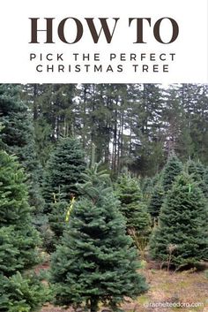 a christmas tree farm with the words how to pick the perfect christmas tree on it