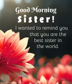 a pink flower with the words good morning sister i wanted to remind you that you are the best sister in the world