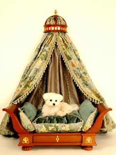 a small white dog sitting on top of a bed with a canopy over it's head