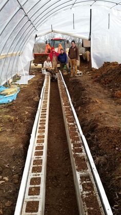 some people are working in a greenhouse