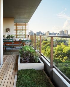 the balcony is filled with plants and greenery