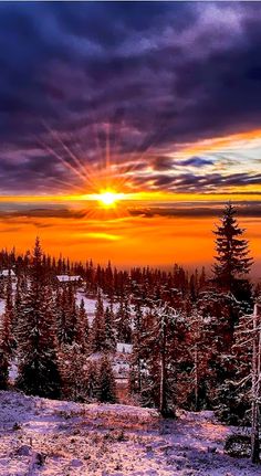 the sun is setting over a snowy landscape with trees in the foreground and snow on the ground