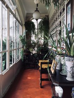 the inside of a house with lots of potted plants