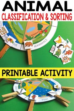 an animal classroom and sorting printable activity