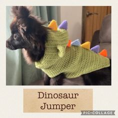 a dog is wearing a sweater with spikes on it's back and the words dinosaur jumper written in large letters