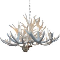 a white chandelier with antlers hanging from it's center and two lights on each side