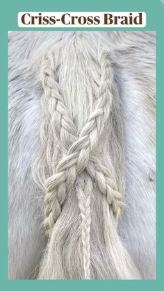 How To Braid A Horse Mane, Horse Hairstyles Ideas, Horse Hairstyles, Tail Hairstyles, Horse Braiding, Tail Hairstyle, How To Braid, Braid Inspiration, Horse Mane