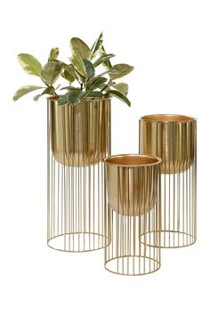 three gold vases with plants in them