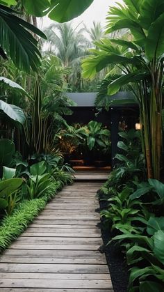 a wooden walkway surrounded by lots of green plants and trees in the middle of a tropical garden