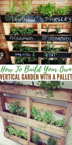 an old pallet is transformed into a vertical garden with plants growing in it and the words, how to build your own vertical garden with a pallet