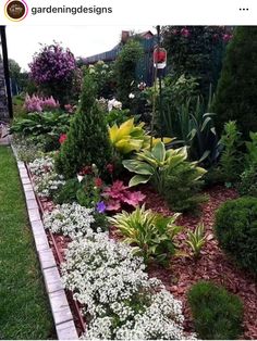 a garden with lots of different types of flowers and plants in the middle of it