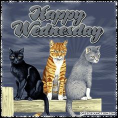 three cats sitting on top of a wooden post with the words happy wednesday written above them