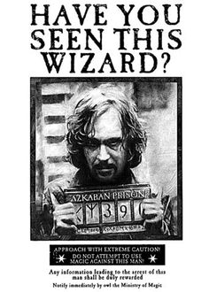 an old wanted poster with the words have you seen this wizard?