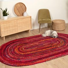 a dog laying on top of a rug in a living room