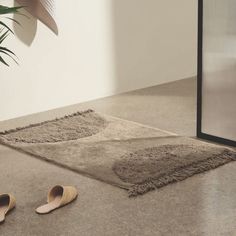 a pair of slippers sitting on top of a rug next to a potted plant