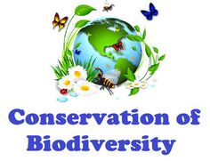 the conservation of biodiversity logo with butterflies and flowers around it, on a white background