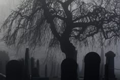 a foggy cemetery with tombstones and trees