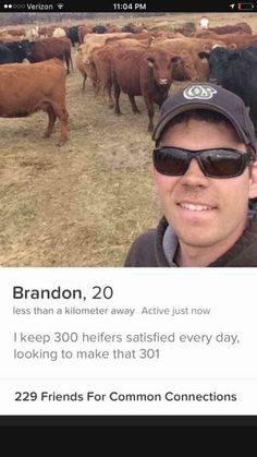 a man wearing sunglasses and a hat standing in front of cows with caption that reads, this dude is doing online dating right now