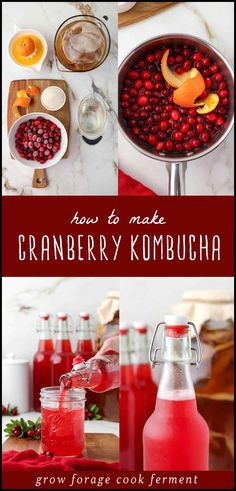 Learn how to make cranberry kombucha with fresh cranberries, orange peel, and a SCOBY starter. This probiotic-rich drink supports gut health and is a delicious way to preserve cranberries during the fall harvest. Find more kombucha flavors, kombucha tea, fermentation recipes, and Fermented Drinks Recipes at growforagecookferment.com.