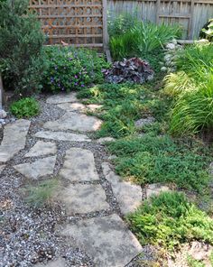 a stone path in the middle of a garden